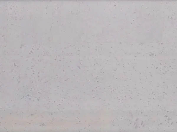 Пробковое покрытие CorkArt PK 180 White (Лак Natural Shield)